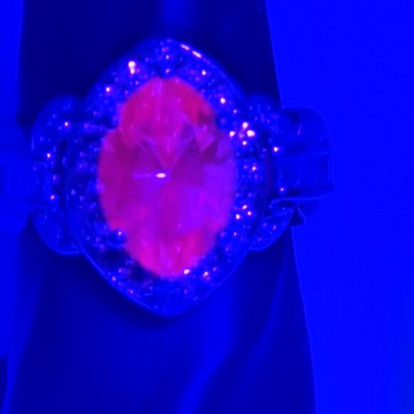 Meet your Posher, Daniel - Picture 5 of 10